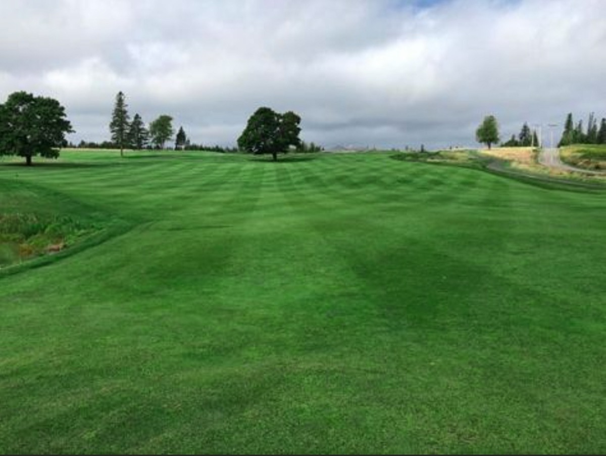 Striped healthy fairway after renovation