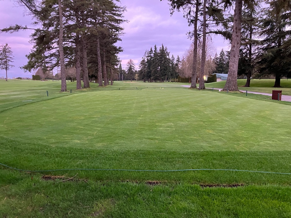 #8 tee grown in after construction